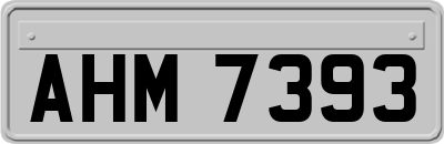 AHM7393