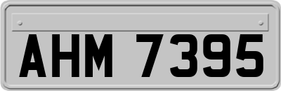 AHM7395