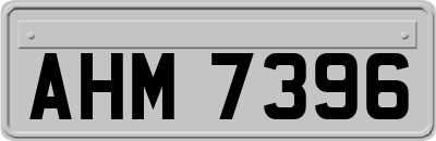 AHM7396