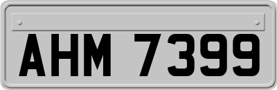 AHM7399