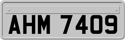 AHM7409
