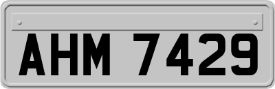 AHM7429