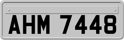 AHM7448
