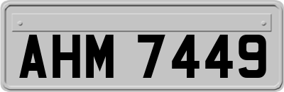 AHM7449