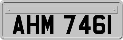 AHM7461