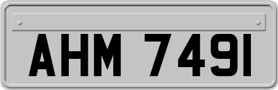 AHM7491