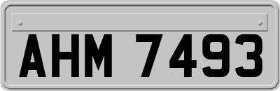 AHM7493