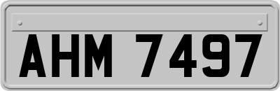 AHM7497