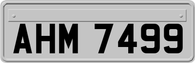 AHM7499