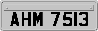 AHM7513