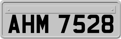 AHM7528