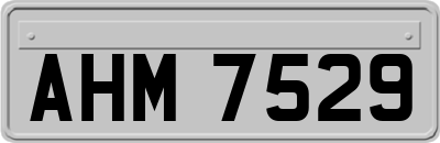 AHM7529