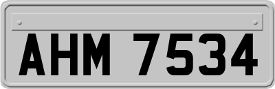 AHM7534