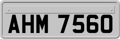 AHM7560