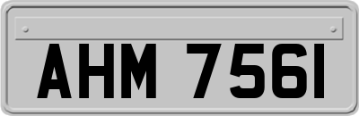 AHM7561