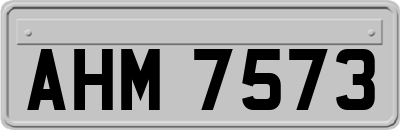 AHM7573