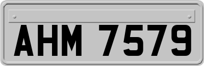 AHM7579