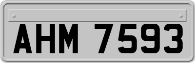 AHM7593