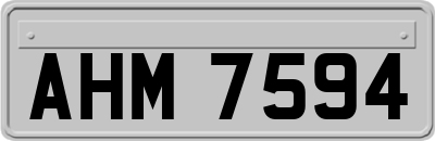 AHM7594