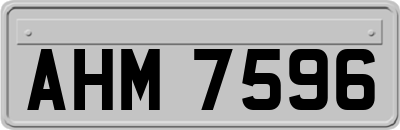 AHM7596