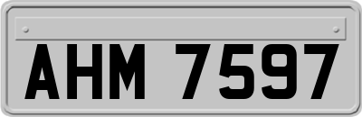 AHM7597