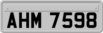 AHM7598
