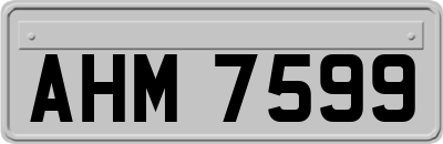 AHM7599