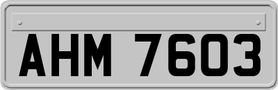 AHM7603