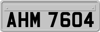 AHM7604