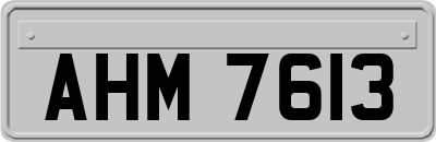 AHM7613