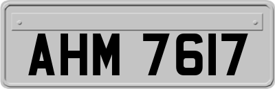 AHM7617