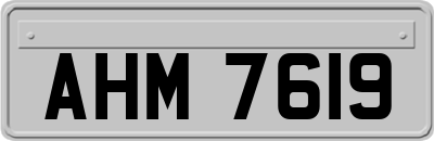 AHM7619
