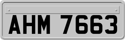 AHM7663