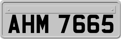 AHM7665