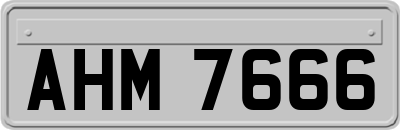AHM7666