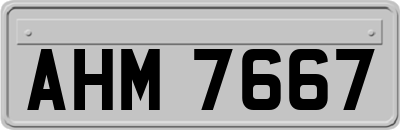 AHM7667