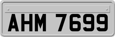 AHM7699