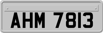AHM7813