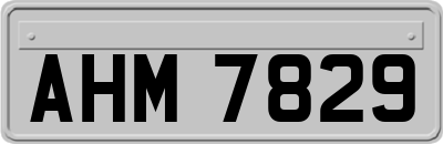 AHM7829