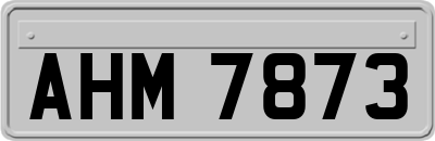 AHM7873