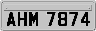 AHM7874