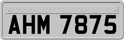AHM7875