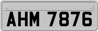 AHM7876