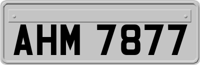 AHM7877