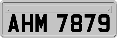 AHM7879
