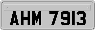 AHM7913