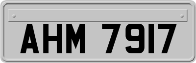 AHM7917