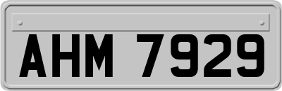 AHM7929