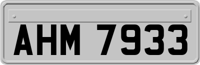 AHM7933