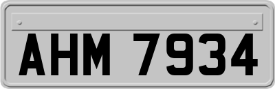 AHM7934